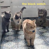 THE BLACK WATCH to Release 27th Album THE FUZZY END OF THE LOLLIPOP