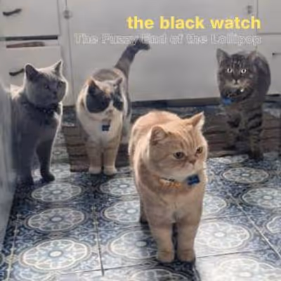 THE BLACK WATCH to Release 27th Album THE FUZZY END OF THE LOLLIPOP
