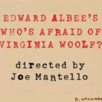 WHO'S AFRAID OF VIRGINIA WOOLF? Announces Digital Lottery