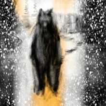 Cotuit Center For The Arts Will Host World Premiere of The InkLine Project