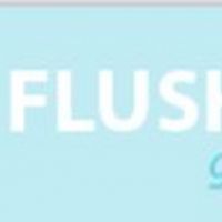 Flushing Town Hall Announces 7th Season Of Global Mashups