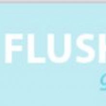 Flushing Town Hall Announces 7th Season Of Global Mashups