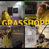 Buntport Theater Company Announces THE GRASSHOPPERS