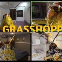 Buntport Theater Company Announces THE GRASSHOPPERS