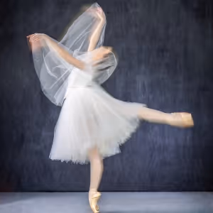 American Repertory Ballet Will Open 2025–26 Season With Ethan Stiefel & Johan…