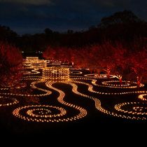 Brooklyn Botanic Garden's Lightscape Opens To The Public For 2025