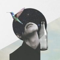Review: HUMMINGBIRD, VAULT Festival