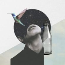 Review: HUMMINGBIRD, VAULT Festival