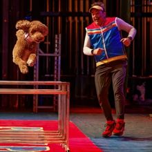 Review: PUPPY PALS at the Norris Theater