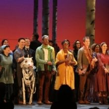 Review Roundup: INTO THE WOODS Opens at New York City Center Encores!