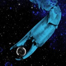 Jack White Kicks Off Next Leg of 'No Name Tour' with New 7-Inch Vinyl