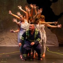 BWW Review: BEARS Roars to Life at the Citadel Theatre