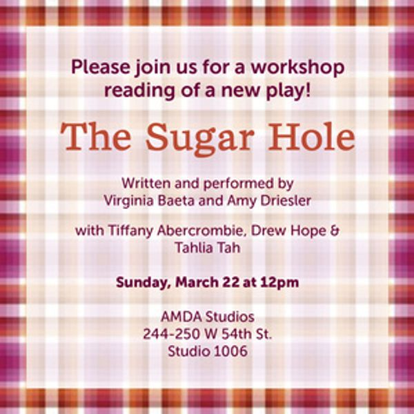 THE SUGAR HOLE Staged Reading Set for March at AMDA Studios Photo