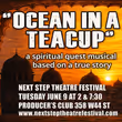 OCEAN IN A TEACUP Concert to be Presented at Producers Club NYC Photo