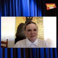 BWW Flashback: Ann Reinking Recounts Memories of Her Career as One of Broadway's… Video