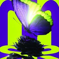 BWW Feature: POCKETOPERA LA TRAVIATA: STERVEN AAN JE DIEPSTE WENS at Violetta Is In…