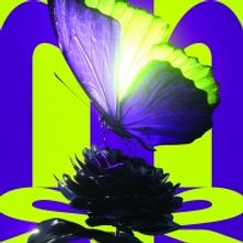 BWW Feature: POCKETOPERA LA TRAVIATA: STERVEN AAN JE DIEPSTE WENS at Violetta Is In H