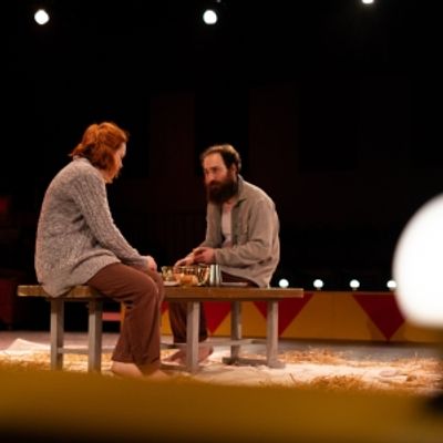 Review: DEAD ELEPHANTS at Aki Studio