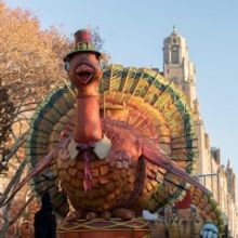 HADESTOWN, BEETLEJUICE, AIN'T TOO PROUD, and TINA to Perform on the Macy's Thanksgivi