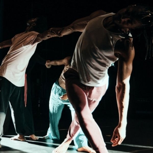 John Scott's Irish Modern Dance Theatre to Present BEGIN ANYWHERE Photo