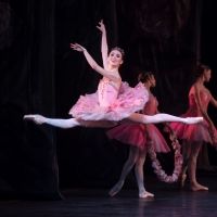 American Ballet Theatre Announces 2020 Promotions
