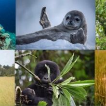BBC America to Celebrate 50th Anniversary of Earth Day