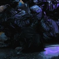 Cast Announced For BIN JUICE at VAULT Festival