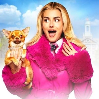 LEGALLY BLONDE THE MUSICAL Set for March Run at Milton Keynes Theatre