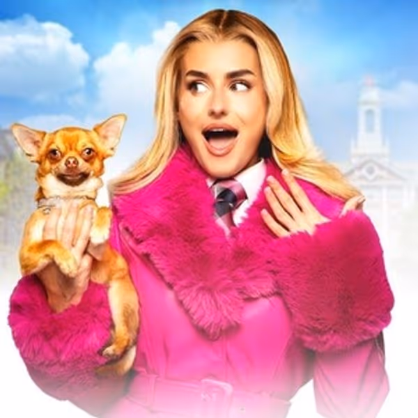 LEGALLY BLONDE THE MUSICAL Set for March Run at Milton Keynes Theatre Photo