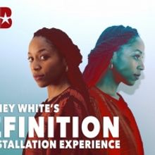 Whitney White's DEFINITION: AN INSTALLATION EXPERIENCE to be Presented by The Bushwic