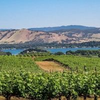 Wine Aficionados Stephen D. Kreps and Robert L. Pepi Chat with Broadwayworld