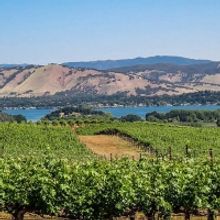 Wine Aficionados Stephen D. Kreps and Robert L. Pepi Chat with Broadwayworld