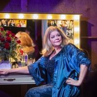 BWW Feature: ONLINE VIRTUAL OPERA TOUR at Home Computer Screens