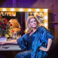 BWW Feature: ONLINE VIRTUAL OPERA TOUR at Home Computer Screens
