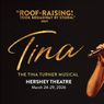 Review: TINA: THE TINA TURNER MUSICAL at Hershey Theatre