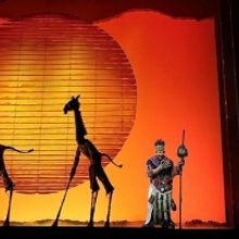 De vuelta a la sabana: Un vistazo a EL REY LEON en Madrid