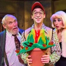 BWW Review: Laughter and Fun Take Root with LITTLE SHOP OF HORRORS at Beef & Boards