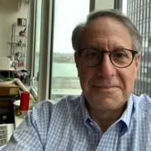 The Most Powerful Voice in DC Area Theatre Peter Marks on Covering the Arts When the