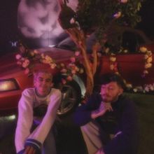 Savage Ga$p Releases New Single 'rose petal princess'