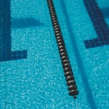 Student Blog: Tools For Organizing Your Studies... and Other Stressful Things