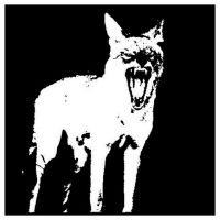 Wattis Institute Capp Street Artist-in-Residence Raven Chacon Launches Radio Coyote
