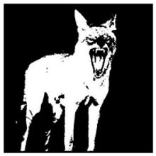 Wattis Institute Capp Street Artist-in-Residence Raven Chacon Launches Radio Coyote