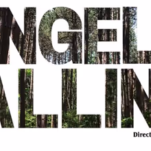 ANGELS FALLING to Make Debut at Theaterlab in First Look Series