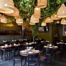 Review: BELLA LUNA on the UWS-The Best in Classic and Creative Italian Cuisine