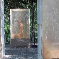 Colombian And Japanese Artists To Present CORRESPONDENCES
