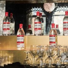 AMERICAN HARVEST VODKA for Your Summertime Cocktails-5 Outstanding Recipes