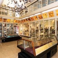 Warrington Museum & Art Gallery Launches New App