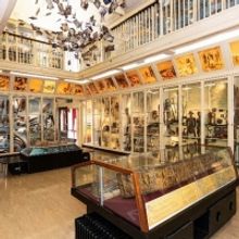 Warrington Museum & Art Gallery Launches New App