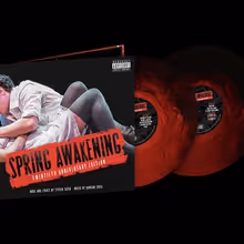 SPRING AWAKENING Original Cast Recording Coming to Vinyl for the First Time, Featurin