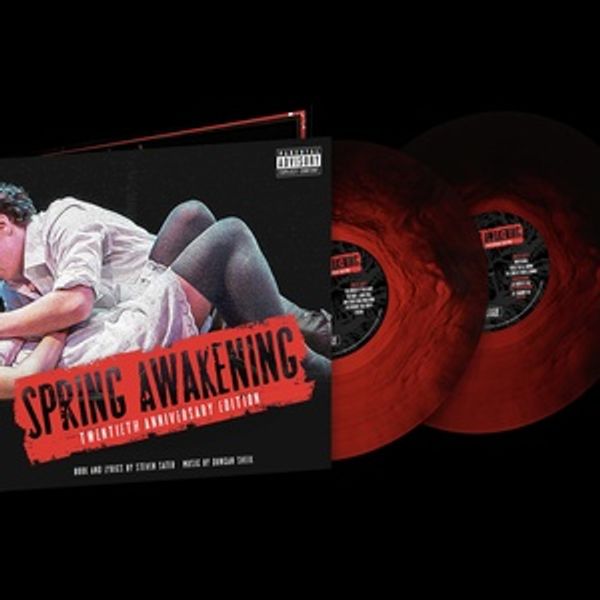SPRING AWAKENING Original Cast Recording Coming to Vinyl for the First Time, Featurin Photo